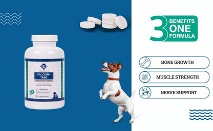 PET360 Calcium+ TABS Advanced Mobility Formula for Dogs & Cats | Bone Growth, Muscle Strength & Nerve Support with Calcium, Amino Acids & Vitamins | Chicken Flavor | Chewing Tablets - 120 Tablets