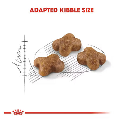 Royal Canin Second Age Kitten, Dry Food, 400 g | Antioxidants Support Brain Development, Microbiome Balance And Natural Immunity