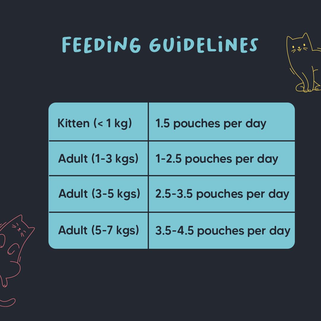 Meowsi by HUFT Chicken & Salmon Mousse Kitten Wet Food - 70 gm | High-Protein Wet Cat Food for Kittens | Cat Food Gravy for Junior Kittens (2-12 Months)