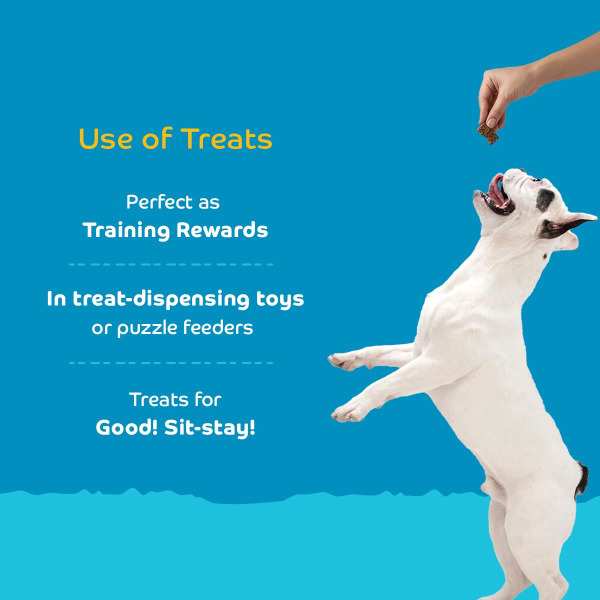 Applod Milk with Collagen Dog Biscuits for Puppies & Adult Dogs | Oven-Baked Crunchy Dog Treats Made with Real Ingredients | Healthy Training & Reward Snacks | 420g