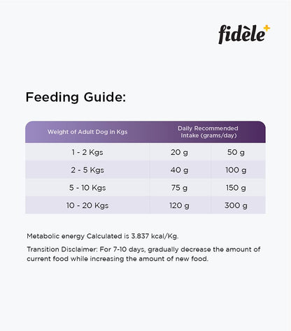 Fidele+ Adult Small & Medium Dog Food | 900g | Small Kibble for Fussy Eaters | Prebiotics for Digestion | Healthy Skin & Coat | Real Chicken