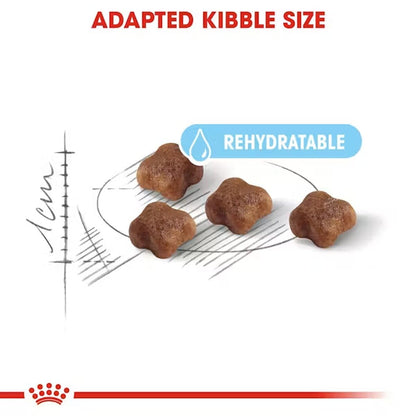 Royal Canin Mother & Babycat, Dry Food, 400 g | Supports Mother and Kitten Health, Brain Development and Natural Immunity
