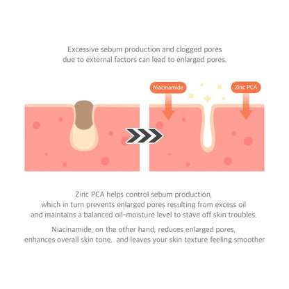 Diagram showing the effects of Zinc PCA and Niacinamide on skin with enlarged pores.