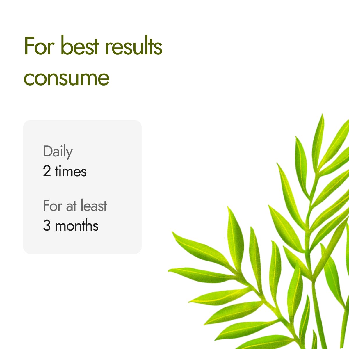 Kapiva Dia Free Capsules | Helps Manage Blood Sugar Levels With Karela, Jamun & Gudmar | 100% Ayurvedic Capsules with Powerful Herbs | 1 Month Pack for Diabetes/Diabetic Care | 60 Capsules/Tablet