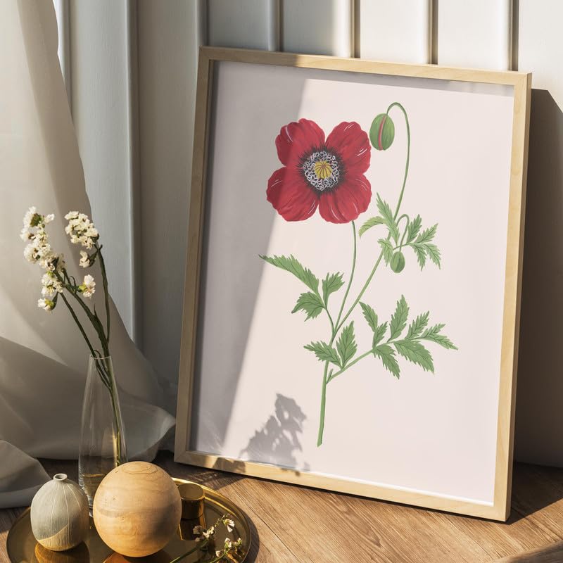 Poppy Botanical Wall Painting| Modern Art Painting for Living Room Bed Room and Office | 11 x 14 inches (Natural Frame)