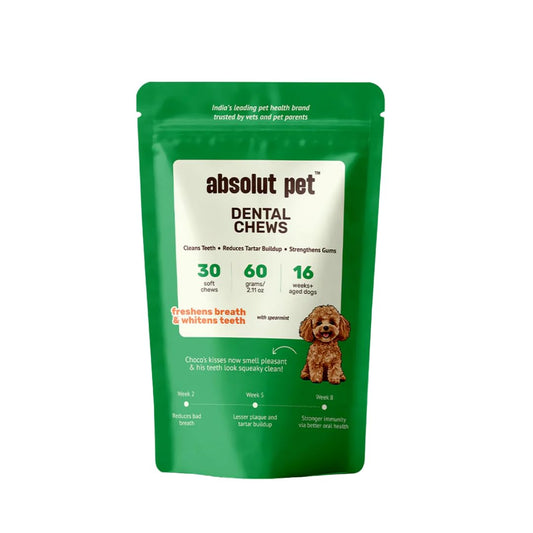 Absolut Pet Dental Chews for Dogs, Plaque, Tartar & Breath Aid | 30 Chews | Daily dental chews that reduce plaque & tartar build-up, freshen breath & support healthy gums in dogs.