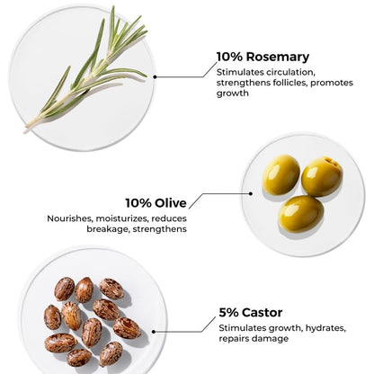 Brillare 10% Rosemary Hair Oil for Hair Growth with 10% Olive Oil & 5% Castor oil | Reduces Hair Fall | Strengthens Hair | Visible Results in 4 Weeks.