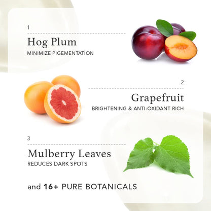 Illustration of hog plum, grapefruit, and mulberry leaves with text describing their benefits on a white background.
