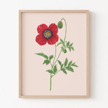 Poppy Botanical Wall Painting| Modern Art Painting for Living Room Bed Room and Office | 11 x 14 inches (Natural Frame)