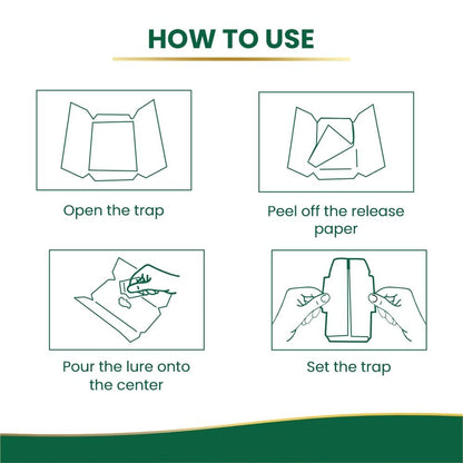 Gumtree Roach Trapp – Pack of 5 | Eco-Friendly, Non-Toxic Cockroach Trap with Bait & Repellent | Powerful Roach Killer for Kitchen, Room, Bathroom, Pantry | Safe Cockroach Control, Kids & Pet Friendly