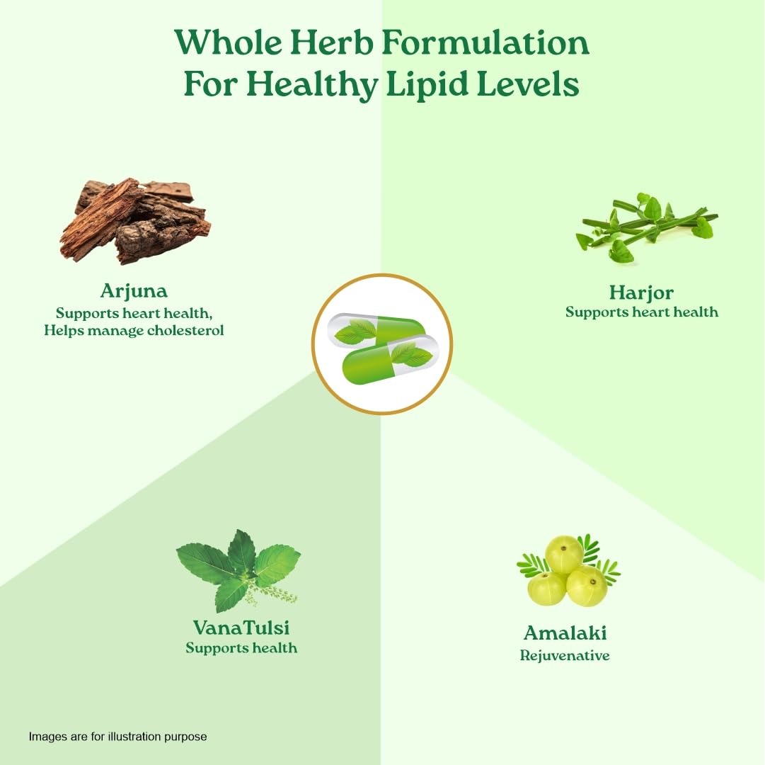 Herbal formulation for healthy lipid levels with images of Arjuna, Harjor, Vana Tulsi, and Amalaki on a green background.