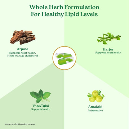 Herbal formulation for healthy lipid levels with images of Arjuna, Harjor, Vana Tulsi, and Amalaki on a green background.