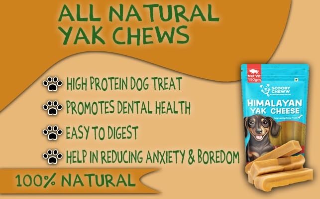 Himalayan Yak Cheese by Scooby Cheww | 100% Natural Vegetarian Yak Chew | Protein & Calcium-Rich Dental Hygiene Dog Treat | Delicious, Nutritious Long-Lasting Chew for All Breeds | 300g Pack