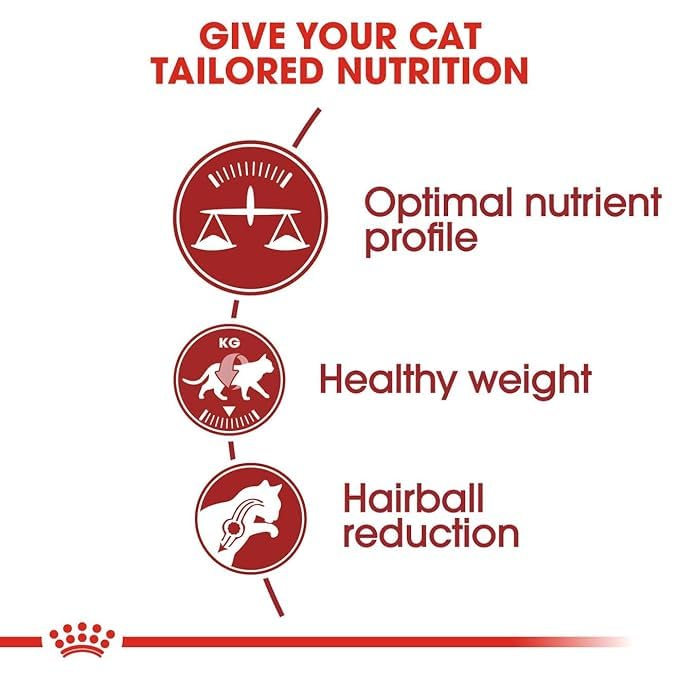 Royal Canin Fit 32 Regular Adult Cat Dry Food, 1 kg | Provides Balanced Nutrition While Helping Maintain A Healthy Weight