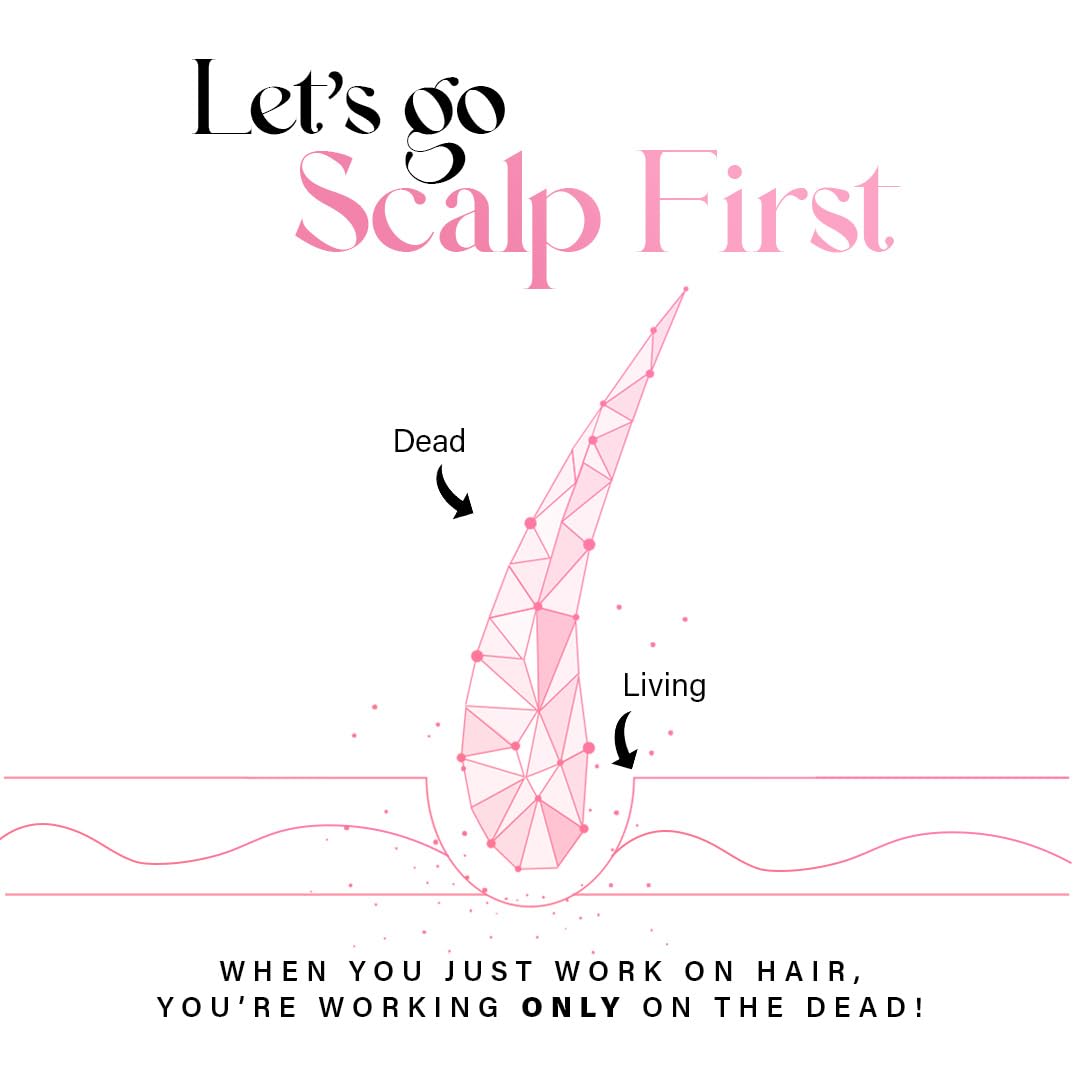 Diagram of a hair follicle with 'Dead' and 'Living' labels, text 'Let's go Scalp First' and 'When you just work on hair, you're working only on the dead!' on a white background.