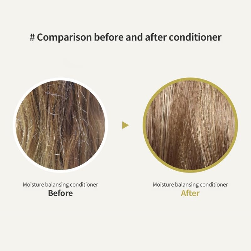 LADOR Moisture Balancing Conditioner (100ml) Enhance Volume, Smoothness & Shine | Hydrating, Cooling & Soothing Sensation Hair Conditioner | Suitable for Dry, Dull & Frizzy Hair