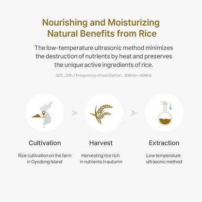 THANKYOU FARMER Pure Essential Rice Toner (200ml) | Korean Hydrating Rice Water Toner with Niacinamide & Ceramide | Brightening, Smooth Skin Texture & Daily Moisture Booster | Lightweight Refreshing Face Toner