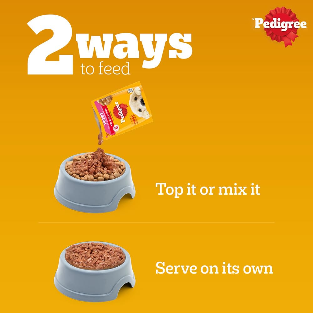 Pedigree Puppy Wet Dog Food, Chicken & Liver Chunks in Gravy, 70 g, Complete & Balanced Meal for Puppies