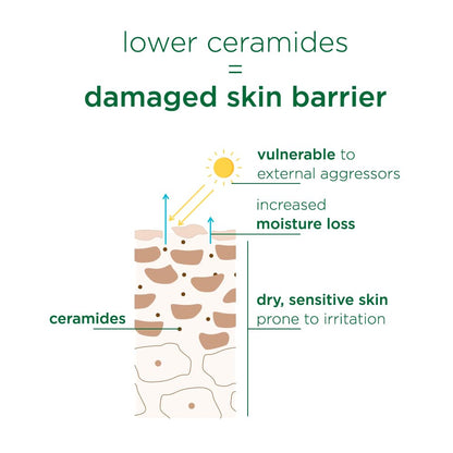 Diagram showing the relationship between ceramides and a damaged skin barrier.