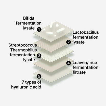 Mixsoon Bifida Toner Pad (250ml) Hydrating & Skin Barrier Repair Toner Pads with Bifida Ferment, Hyaluronic Acid, Deep Moisture, Anti-Irritation & Texture-Smoothing Daily Essence Pads for All Skin Types, Korean Skincare