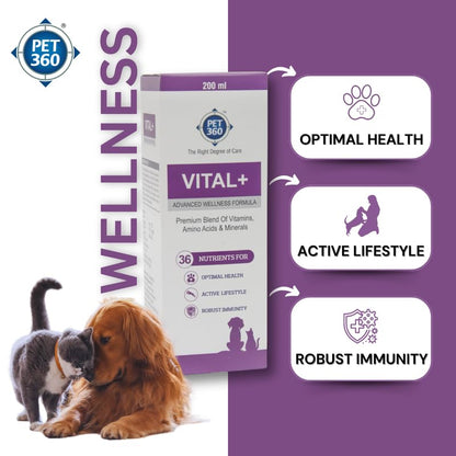 PET360 Vital+ Advanced Wellness Formula | Daily Multivitamin Syrup | Healthy Skin, Joints, Immunity & Growth | Nutritional Supplement for Dogs & Cats- 200 ml