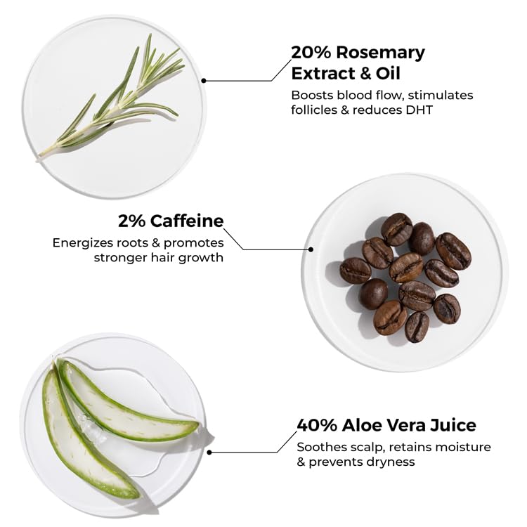 Brillare 20% Rosemary Shampoo with 2% Caffeine for Hair Growth & Hair Fall Control | Reduces Breakage, Retains Moisture & Strengthens Roots