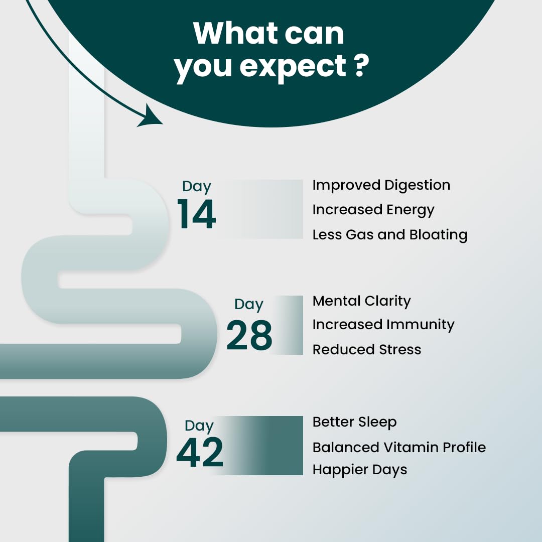 Supply6 360 Ultimate Health Powder for Women & Men | Daily Supplement with 63+Vitamins, Minerals, Probiotics, and Superfoods | Daily Greens | Gut Health supplements, Energy, Immunity (15 Servings)