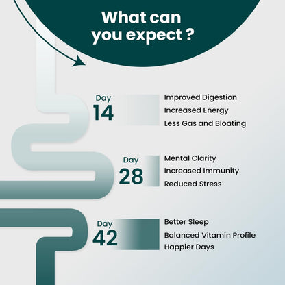 Supply6 360 Ultimate Health Powder for Women & Men | Daily Supplement with 63+Vitamins, Minerals, Probiotics, and Superfoods | Daily Greens | Gut Health supplements, Energy, Immunity (15 Servings)