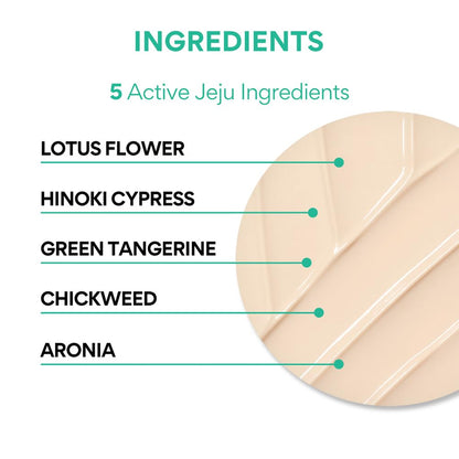 Innisfree UV Active Poreless Sunscreen SPF 50+ / PA++++ 1.7 fl oz, UV Protection, Pore Blurring, Korean Sunscreen