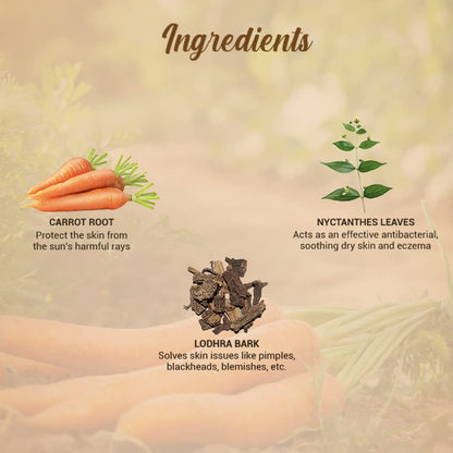 Biotique Bio Carrot Face & Body Sun Lotion | SPF 40 UVA/UVB Sunscreen | Prevents Ageing and Soothes Dry Skin| 100% Botanical Extracts | Suitable for All Skin Types | 50ml