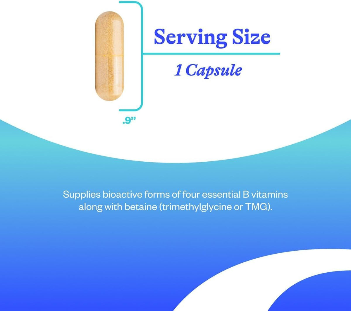 Evorina Seeking Health Homocysteine Nutrients - Supplement Formula with L-Methylfolate & Vitamin B12, B6 & B2 - Supports Healthy Cognition & Brain Function - Aids Homocysteine Metabolism - 60 Capsules | High Strength Herbal Supplement