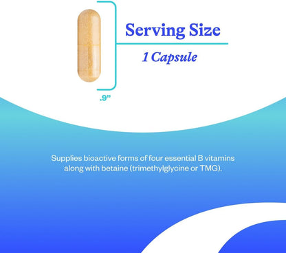 Evorina Seeking Health Homocysteine Nutrients - Supplement Formula with L-Methylfolate & Vitamin B12, B6 & B2 - Supports Healthy Cognition & Brain Function - Aids Homocysteine Metabolism - 60 Capsules | High Strength Herbal Supplement