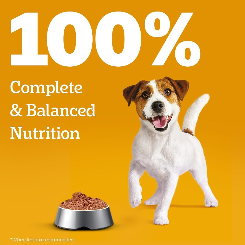 Pedigree Puppy Wet Dog Food, Chicken & Liver Chunks in Gravy, 70 g, Complete & Balanced Meal for Puppies
