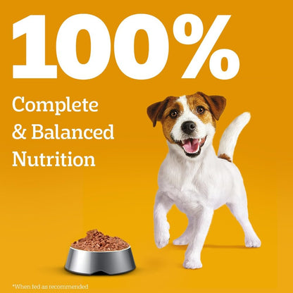 Pedigree Puppy Wet Dog Food, Chicken & Liver Chunks in Gravy, 70 g, Complete & Balanced Meal for Puppies