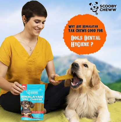 Himalayan Yak Cheese by Scooby Cheww | 100% Natural Vegetarian Yak Chew | Protein & Calcium-Rich Dental Hygiene Dog Treat | Delicious, Nutritious Long-Lasting Chew for All Breeds | 300g Pack