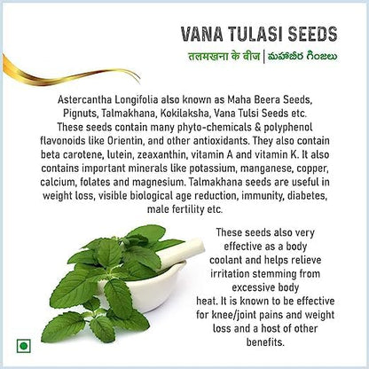 Pmw - Export Quatity Mahabeera seeds - 250G - Bottle Pack - Vana Tulasi - Pignuts Seeds - Edible Tulsi Seeds Carya Glabra - Talmakhana - Pure, Natural & Healthy, Weight loss, Hair Growth