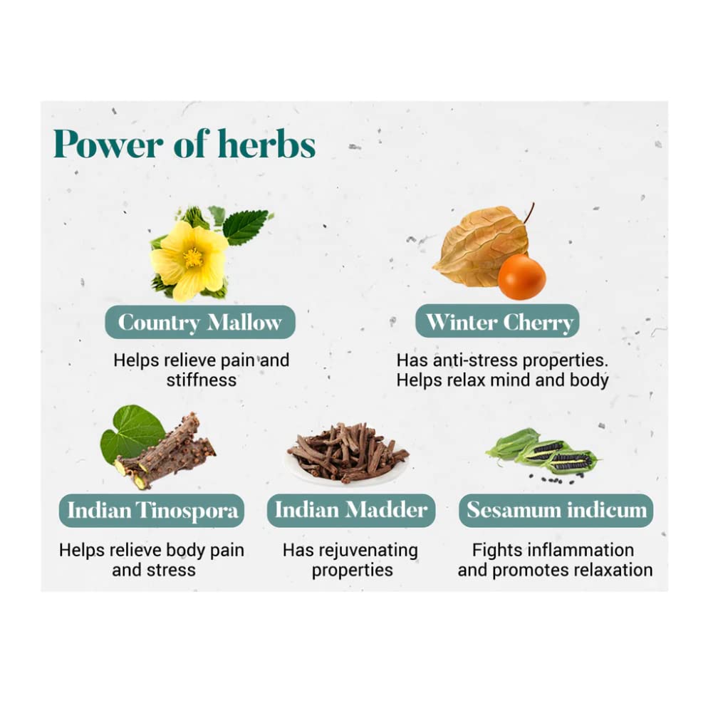 Illustration of herbs with their names and benefits on a white background