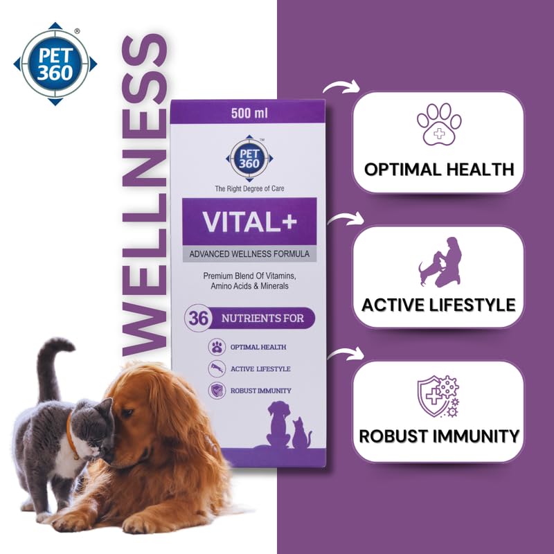 PET360 Vital+ Advanced Wellness Formula | Daily Multivitamin Syrup | Healthy Skin, Joints, Immunity & Growth | Nutritional Supplement for Dogs & Cats- 500 ml