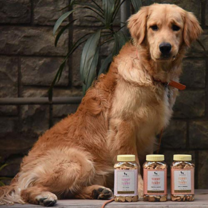 HUFT Yummy in My Tummy Banana & Oats Vegetarian Dog Biscuits 320 G, All Life Stages