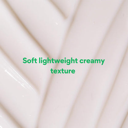 Innisfree Green Tea Seed Moisturiser with Hyaluronic Acid 50Ml| Hydrating & Soothing Face Cream | Non oily & Sticky | Korean Skincare for Dry & Dehydrated Skin For Dry Skin, Normal & Sensitive Skin