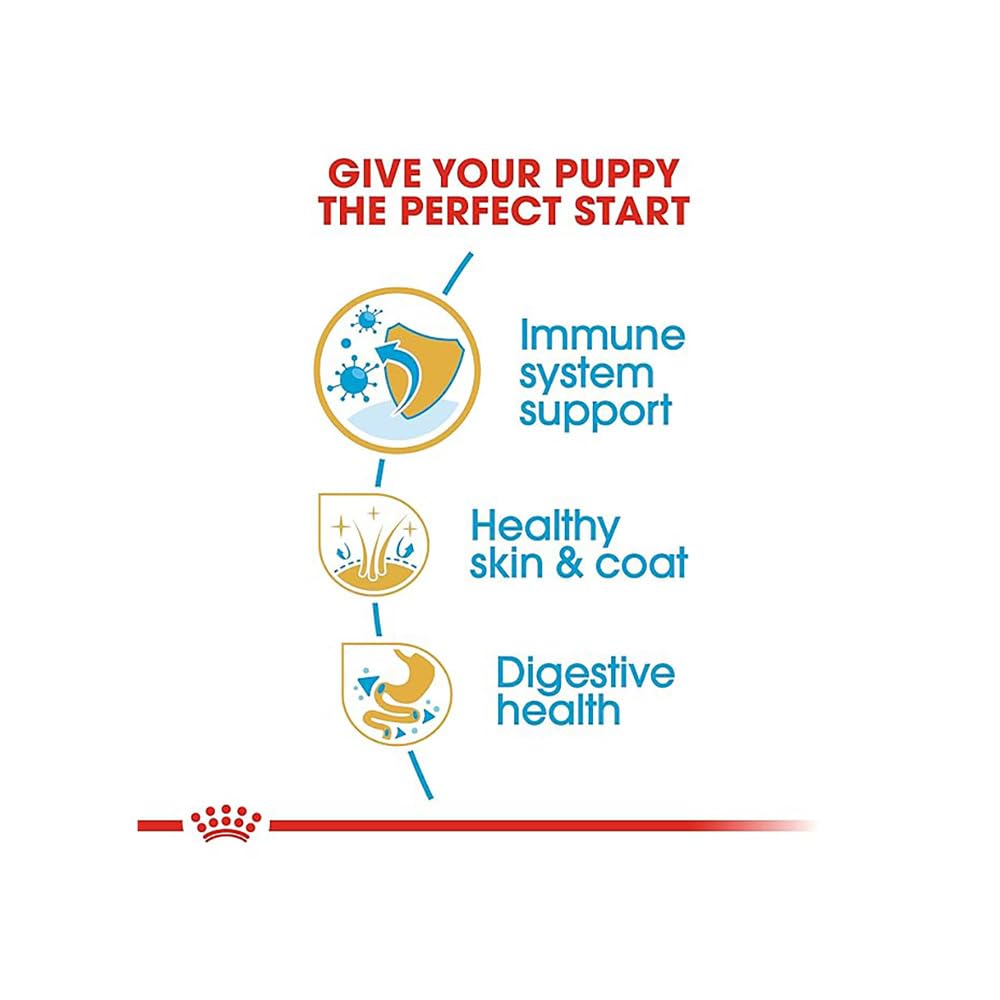 Royal Canin Golden Retriever Puppy Food, Dry Food, Supports Immune System & Digestive Health, Promotes Healthy Skin & Coat, 1 Kg