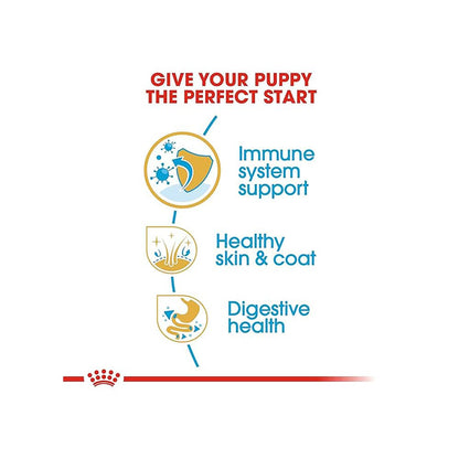 Royal Canin Golden Retriever Puppy Food, Dry Food, Supports Immune System & Digestive Health, Promotes Healthy Skin & Coat, 1 Kg