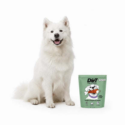 Dogs & Tiddles Tender Chicken & Herbs Jerky Dog Treats for Puppies & Adult Dogs, 70g | Soft & Chewy High-Protein Dog Snacks | Grain-Free Training Treats| Easily Digestible and Healthy