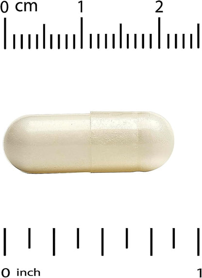 White capsule pill with a ruler for scale on a white background