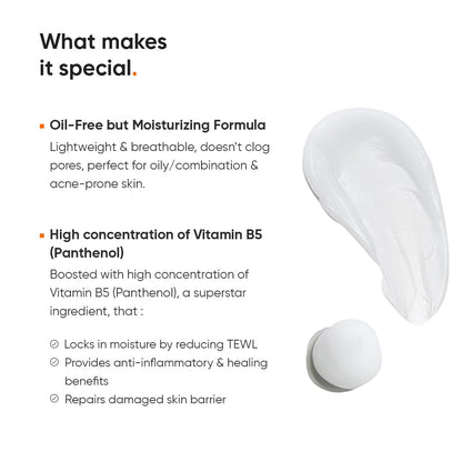 Minimalist Dehydrated Skin Moisturizer with 10% Vitamin B5 for Oily & Acne-Prone Skin | Oil-Free Hydration & Lightweight Gel Formula for Damaged Barrier Repair | Fast-Absorbing & Non-Sticky Lightweight Winter Cream | 50 grams