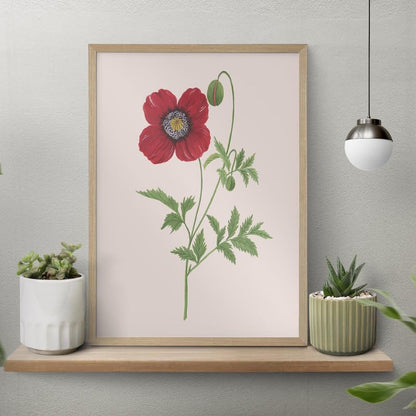 Poppy Botanical Wall Painting| Modern Art Painting for Living Room Bed Room and Office | 11 x 14 inches (Natural Frame)