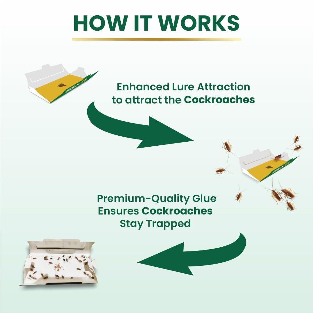 Gumtree Roach Trapp – Pack of 5 | Eco-Friendly, Non-Toxic Cockroach Trap with Bait & Repellent | Powerful Roach Killer for Kitchen, Room, Bathroom, Pantry | Safe Cockroach Control, Kids & Pet Friendly