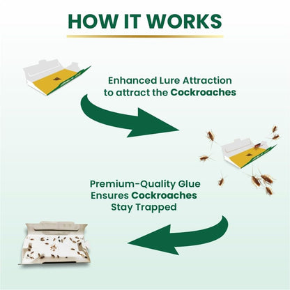 Gumtree Roach Trapp – Pack of 5 | Eco-Friendly, Non-Toxic Cockroach Trap with Bait & Repellent | Powerful Roach Killer for Kitchen, Room, Bathroom, Pantry | Safe Cockroach Control, Kids & Pet Friendly