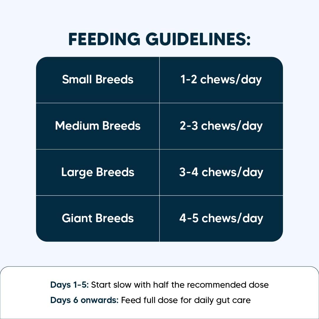 Sara’s Daily Probiotic Chews for Dogs – 70g | Gut & Digestive Health Treats | Supports Digestion, Immunity & Overall Wellness | All Breeds, Puppies & Adults