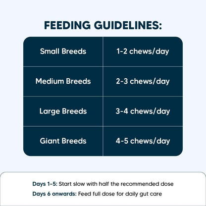 Sara’s Daily Probiotic Chews for Dogs – 70g | Gut & Digestive Health Treats | Supports Digestion, Immunity & Overall Wellness | All Breeds, Puppies & Adults